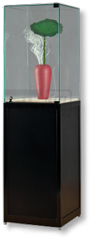 Glasvitrine 1800S mit Drehtuer Glasvitrine 1800S mit Drehtuer