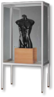 Glasvitrine  V8 1000-B-tech