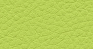 lime 64-719