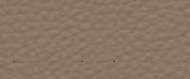 carob-64-709-190